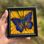 Butterfly Framed Art