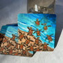 Ocean Bound Turtles Coaster