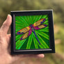 Dragonfly Framed Art