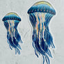 Jellyfish Sticker