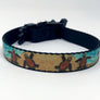 3 Baby Turtles Dog Collar