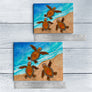 3 Baby Turtles Ceramic Tile