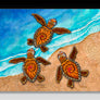 3 Baby Turtles Aluminum Wall Art