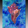 Conch Shell Aluminum Wall Art