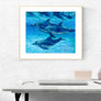 Dolphin Cruise Print