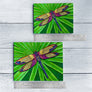 Dragonfly Ceramic Tile