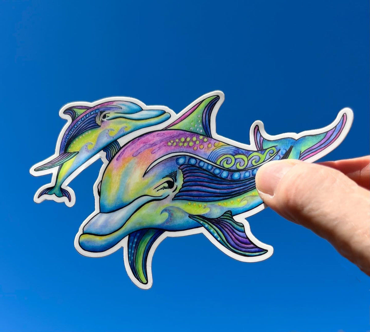 Rainbow Dolphin Sticker – Stephanie Kiker Designs