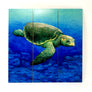 Loggerhead Turtle Wall Art