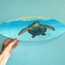 Turtle Paradise Surfboard Wall Art