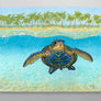 Turtle Paradise Aluminum Wall Art