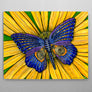 Butterfly Aluminum Wall Art