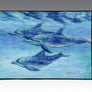 Dolphin Cruise Door Mat