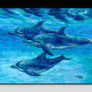 Dolphin Cruise Ceramic Tile