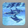 Dolphin Cruise Coaster