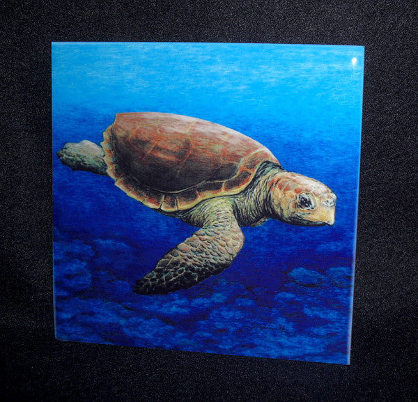 Loggerhead Turtle Ceramic Tile