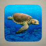 Loggerhead Turtle Coaster