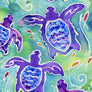 Sea Turtle Swim Print