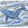Whale Watch Print