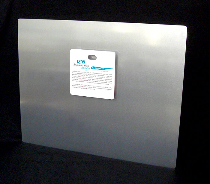 Turtles and Fish Aluminum Wall Art