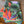 Bird of Paradise with Monstera Hand Towel