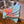 Bird of Paradise Hand Towel