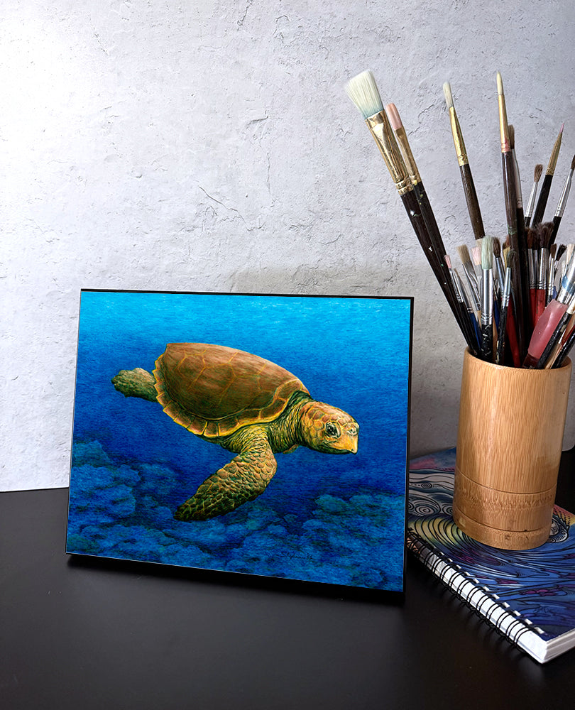 Loggerhead Wall Art Panel