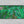 Monstera Leaves Desk Mat