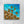Ocean Bound Turtles Magnet