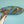 Turtle Time Surfboard Wall Art