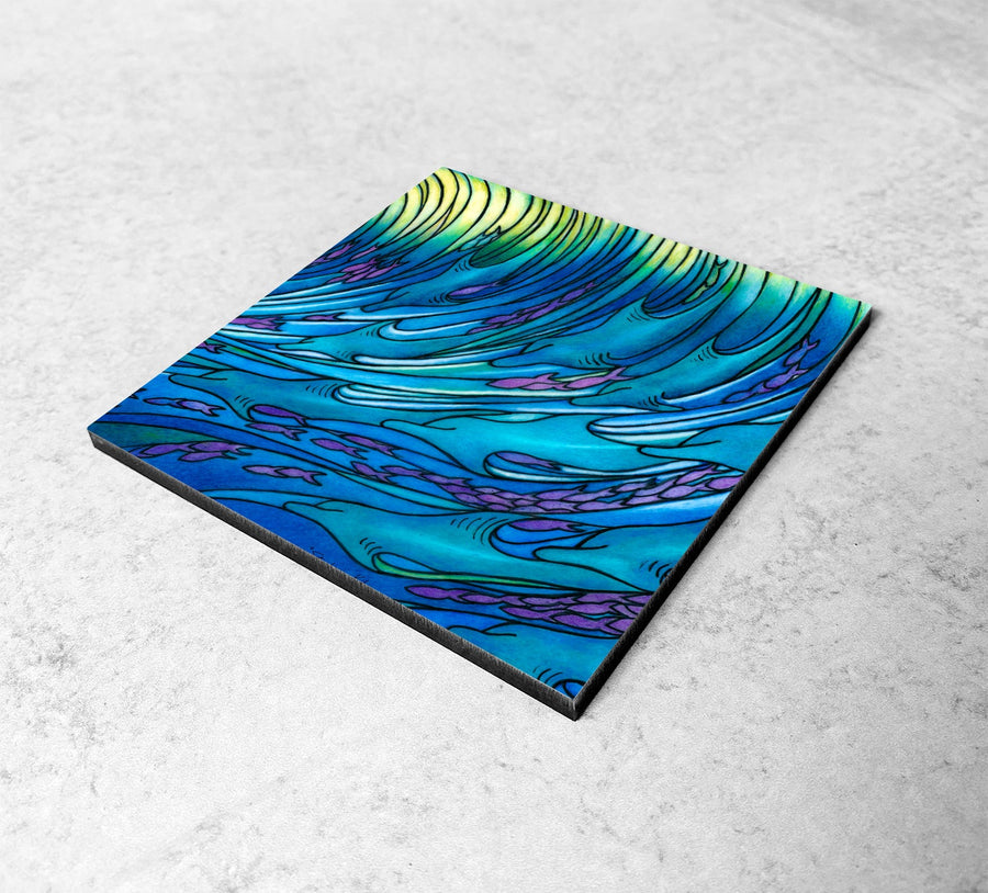 Waves of Dolphin Magnet