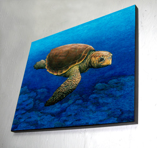 Loggerhead Wall Art Panel