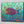 Parrotfish Wall Art Panel