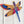 Red, Blue, Yellow Dragonfly- Dragonfly Shape