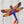 Red, Blue, Yellow Dragonfly- Dragonfly Shape