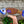 Fish Flowers - Fish Wood Wall Art