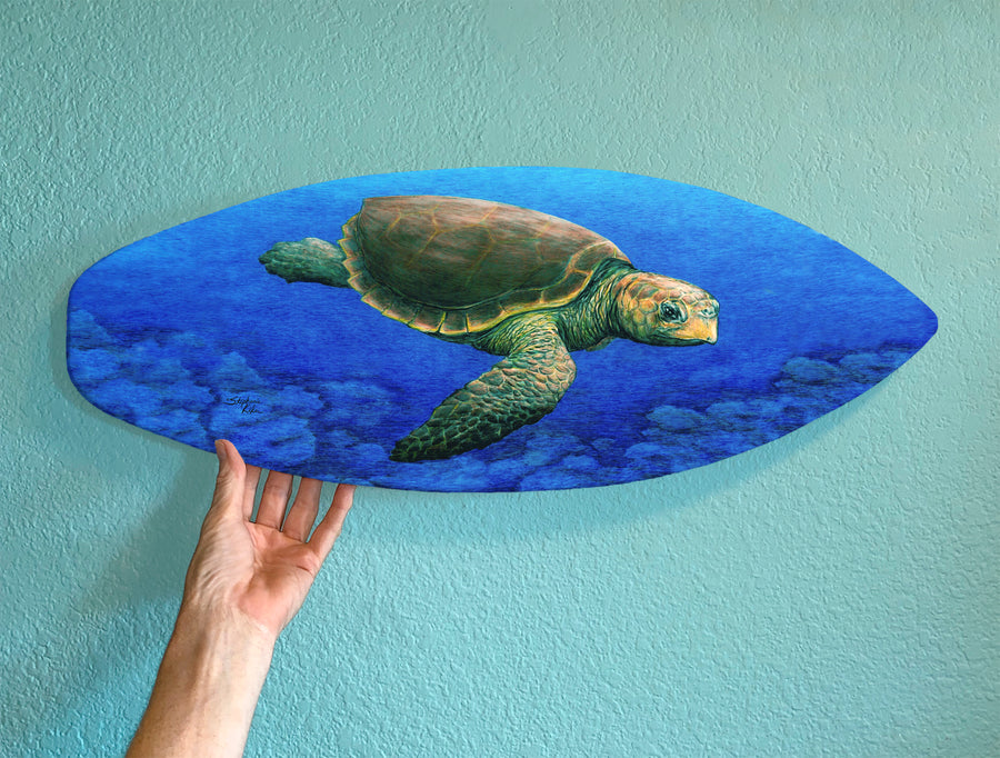 Loggerhead Turtle Surfboard Wall Art