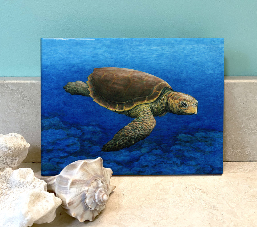 Loggerhead Turtle Ceramic Tile