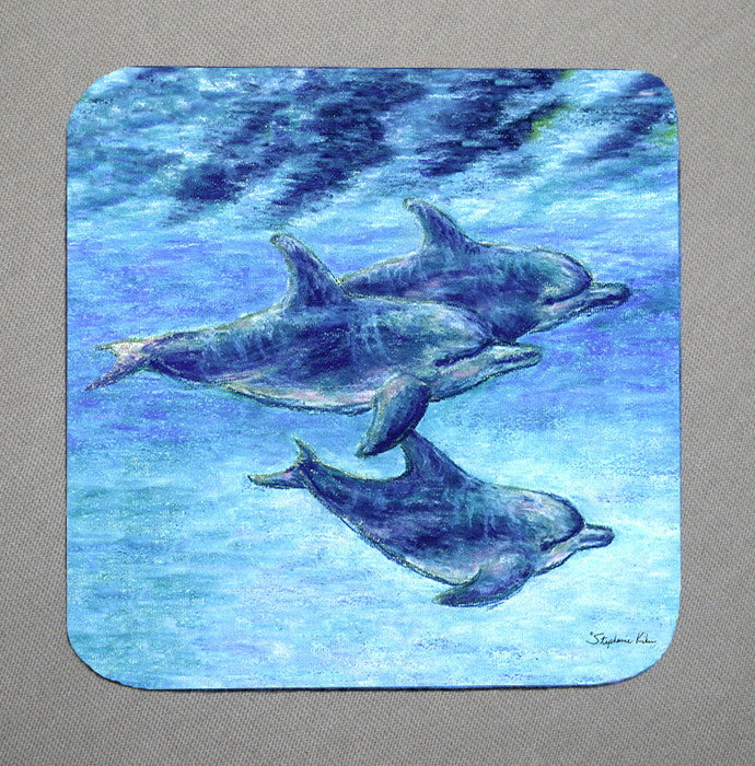 Dolphin Cruise Coaster