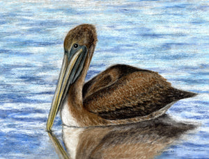 Harbor Pelican Print