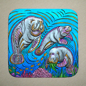 Manatees Coaster