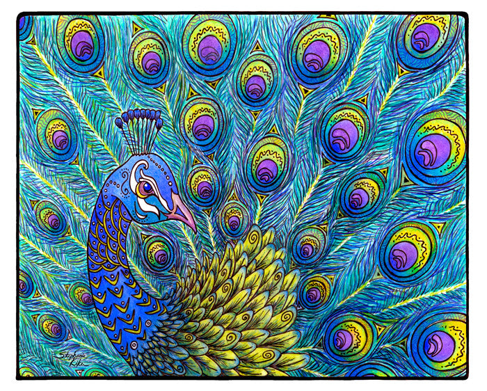 Peacock Print – Stephanie Kiker Designs