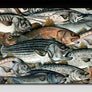 Surf Fish Ceramic Tile