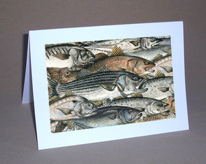 Surf Fish Notecard