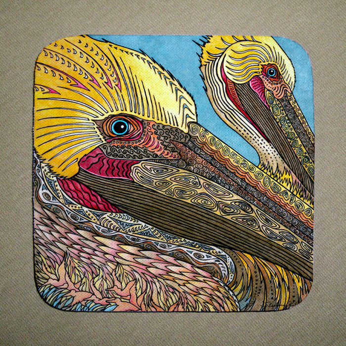 The Pelicans Coaster